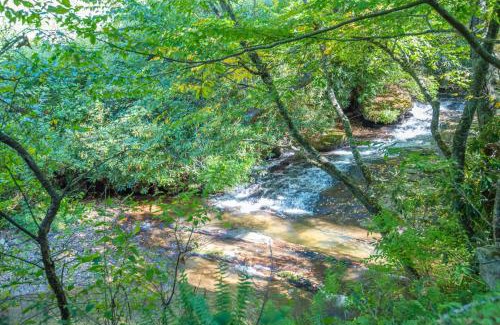 Jefferson House | Tucked away in the woods - minutes to the New River - Acreage to explore!