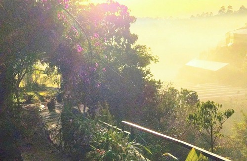 Da Lat House | Tuyet Hoa Hon Bo Bungalow