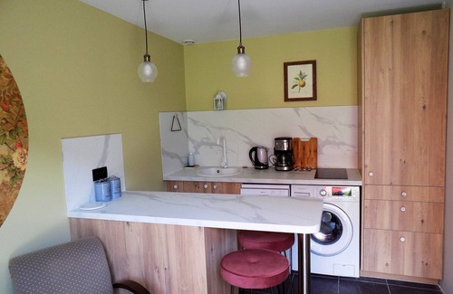 Orleans Apartment | Two rooms equipped orleans apartment for rent