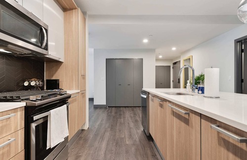 Downtown Chicago Apartment | Two Units: Seamless Stay, Downtown Convenience