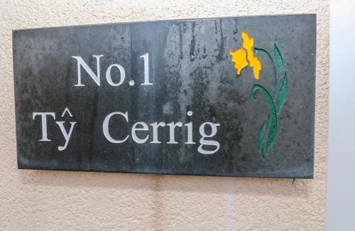 Ammanford House | Ty Cerrig