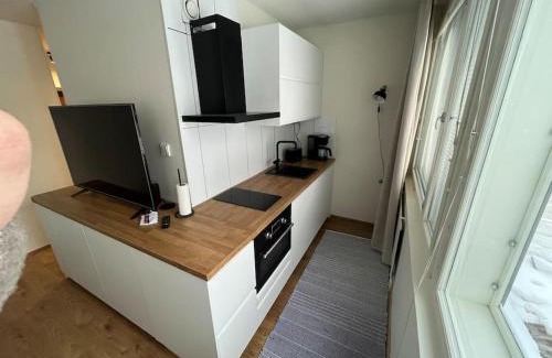 Alppiharju Apartment | Tyylikäs yksiö Kalliossa