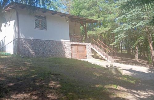 Zbiczno House | U Poli w Gaju