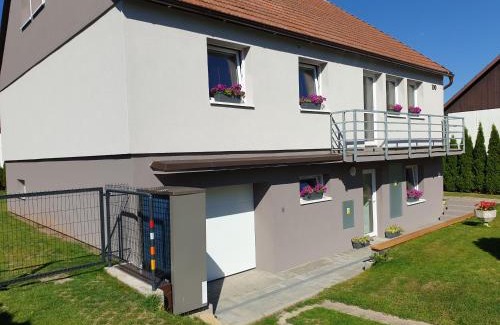 Horni Adrspach House | Ubytování ADR100 Adršpach