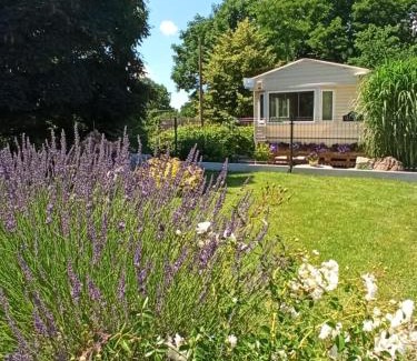 Kosin House | Ubytování Levandule