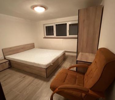 Hladke Zivotice Apartment | Ubytování poblíž Ostravy
