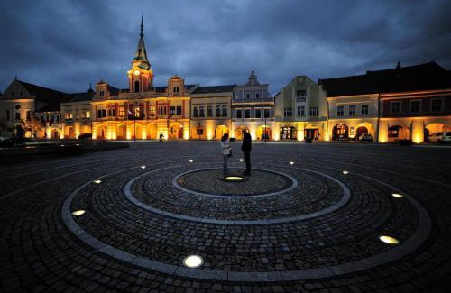 Melnik Apartment | Ubytování U Vinice