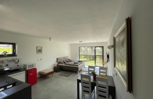 Melnik Apartment | Ubytování U Vinice