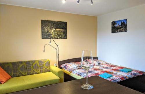 Uherske Hradiste Apartment | Ubytování ve Vinařství Medek | Medek House & Winery