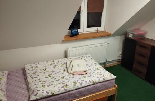 Zelezny Brod House | Ubytovani u Nadii