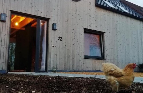 Booitshoeke House | Uilenvlucht