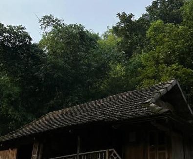 Chieng Chau Bed & Breakfast | Ume Homestay