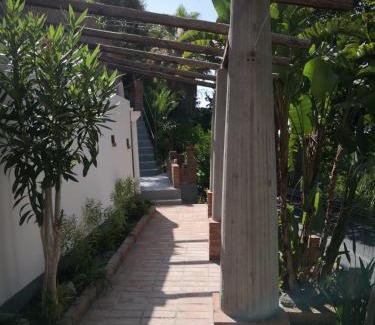 Naso Apartment | Un'oasi tra i limoni
