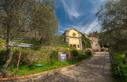 Podenzana Bed & Breakfast | Un'Ottima Annata B&B