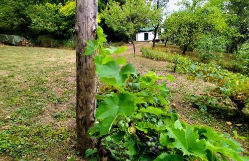 Staro Petrovo Selo Ski Chalet | UNDER THE GREEN ROOF