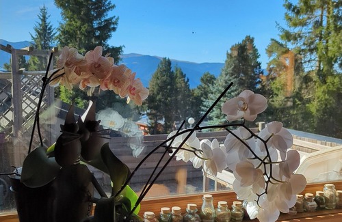 Bolquere Ski Chalet | Unique family Chalet - Bolquère