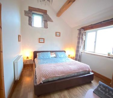 Leeswood Apartment | Unique Stay on an Alpaca Therapy Farm with Miniature Donkeys North Wales