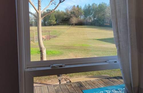 Georgia Coast House | Unplug and unwind in this tiny home featured on Season 1 HGTV Tiny house hunter.
