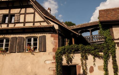 Nordheim House | Unter der Linde