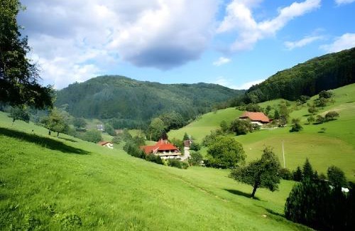 Zell am Harmersbach House | Unterer Gurethshof