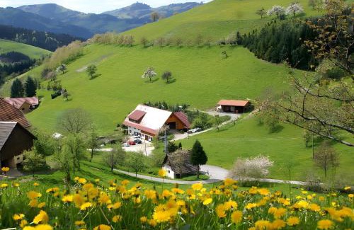 Zell am Harmersbach House | Unterer Gurethshof