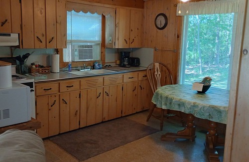 Spruce Cabin | Up North getaway - short walk to lake