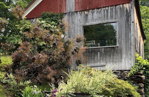 Falls Village Historic District Cottage | Updated Rustic Modern Cottage in the center of quaint Falls Village