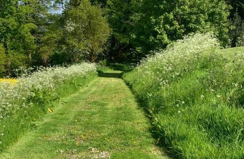 Wall-under-heywood Bed & Breakfast | Upper Home Farm