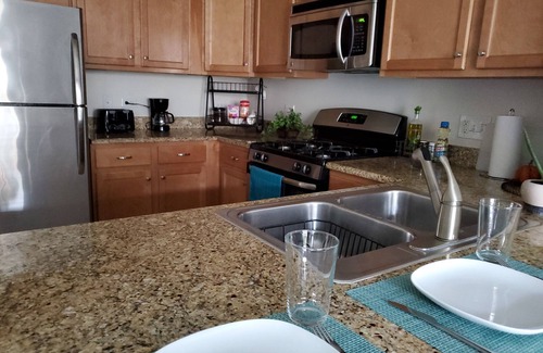 Downers Grove Apartment | Upscale Condo, Washer and Dryer, Fireplace, King Bed, Close To It All