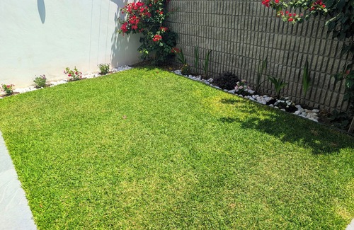 Corregidora House | Urban Campestre (Pet Friendly)