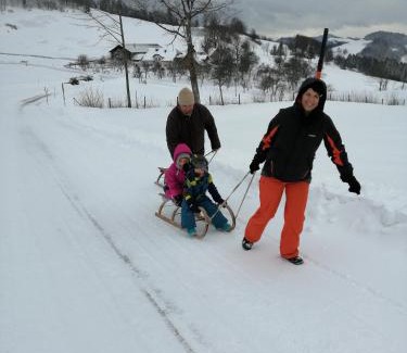 Sankt Anton an der Jessnitz Apartment | Urlaub am Bauernhof Höbarten
