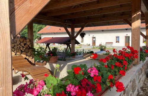 Onsov Apartment | Usedlost Horka Onšov