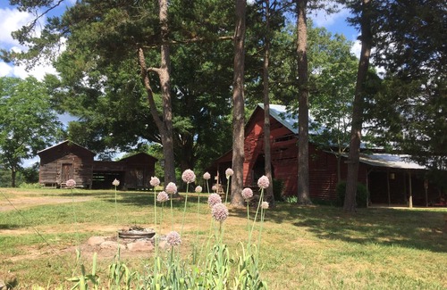 Albemarle RV Rental | Uwharrie Camping Morrow Mountain State Park View Primitive!