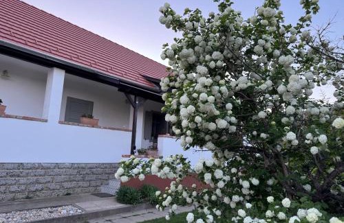 Komlo Apartment | VándorLÓ Vendégház