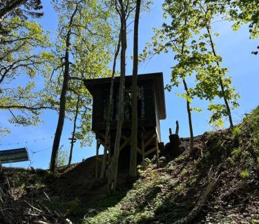 Habo Cabin | Vättervy Glamping- Ravinstuga