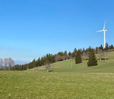 Courtelary Apartment | Vacances Mont-Crosin, Studio chez les Quadeurs