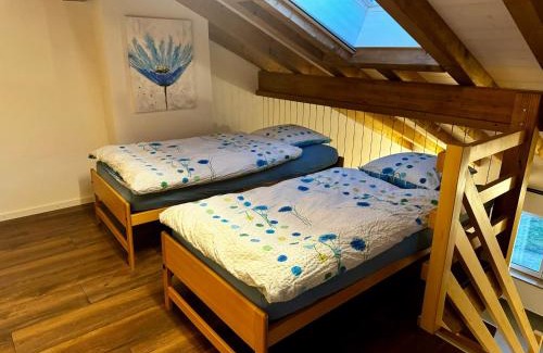 Courtelary Apartment | Vacances Mont-Crosin, Studio chez les Quadeurs