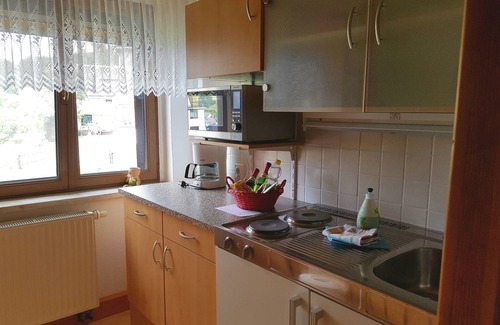 Meuselbach Apartment | Vacation apartment/apartment for 3 guests with 50m² in Meuselbach-Schwarzmühle (123014)