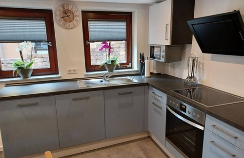 Erlenbach bei Dahn Apartment | Vacation apartment in the Grünheck - apartment/flat, shower or bath, WC,