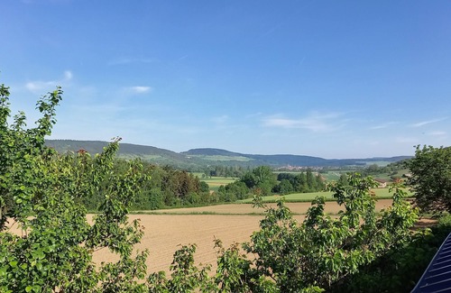 Tauberbischofsheim Apartment | Vacation apartment directly at the winegrower