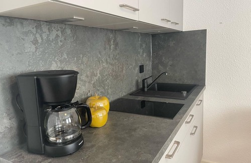 Bad Berleburg Apartment | Vacation apartment with terrace and WLAN