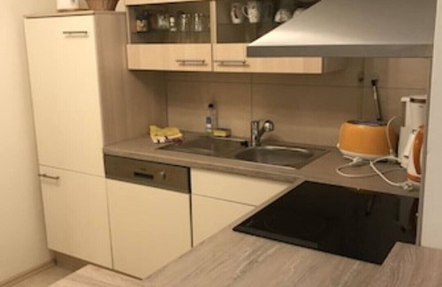 Schwarzburg Condo | Vacation apartment Trippstein 1