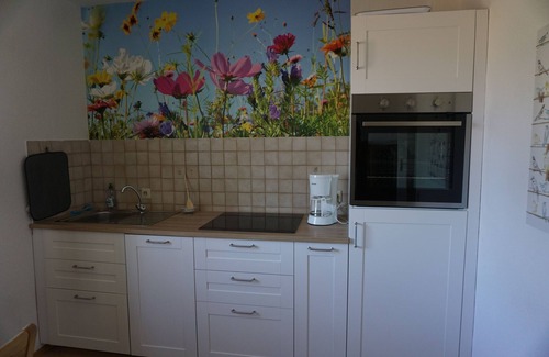 Nehmten Apartment | Vacation apartment directly on the Großer Plöner See