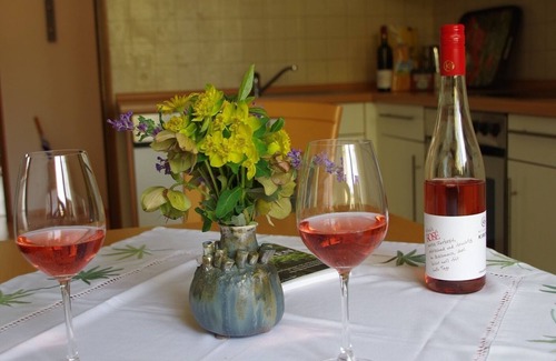 Volkach Apartment | Vacation apartment in the Kirch winery in quiet surroundings
