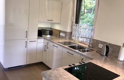 Bayreuth Apartment | Vacation home directly on the park with lake (120 sqm) for up to 4 people