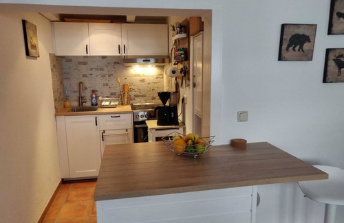 Wildemann House | Vacation home Salamander incl. sauna - Holiday home Salamander