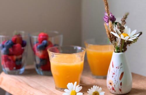 Municipality of Midden-Drenthe Bed & Breakfast | Vakantiehuis Bed en Breakfast in de Tuin