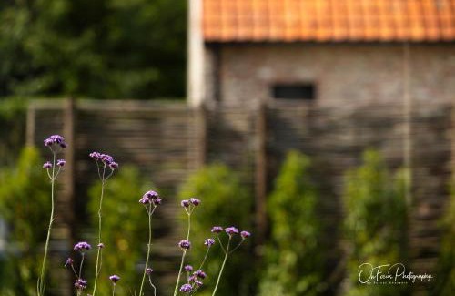 Watervliet House | Vakantiehuis Paula