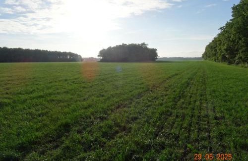 Nijeberkoop House | Vakantieverblijf de Barre Hichte, Grindweg 4 Nijeberkoop