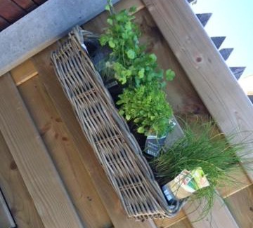 Watou Apartment | Vakantiewoning Petit Watou